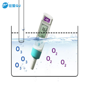 水中臭氧測試針，配套產(chǎn)品，臭氧消毒機，臭氧發(fā)生器