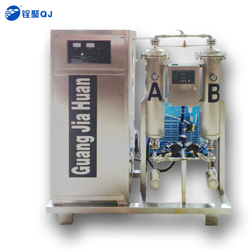 氧氣型200g/h蜂窩式空氣源臭氧發生器